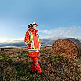 Reclaimed land being reviewed by a person